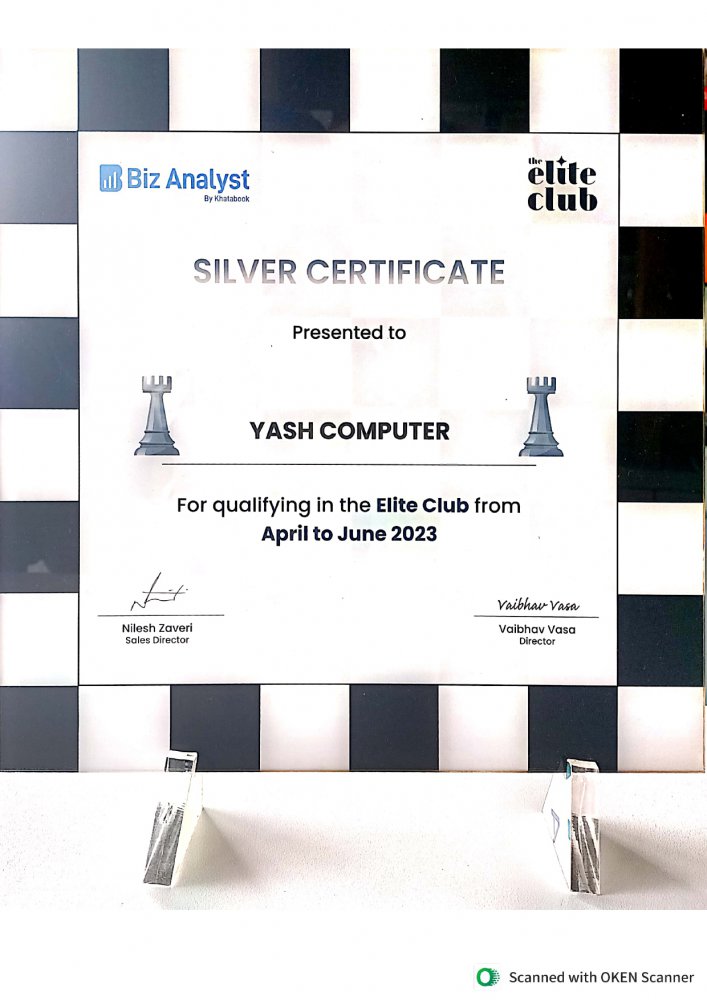 BIZ ANALYST